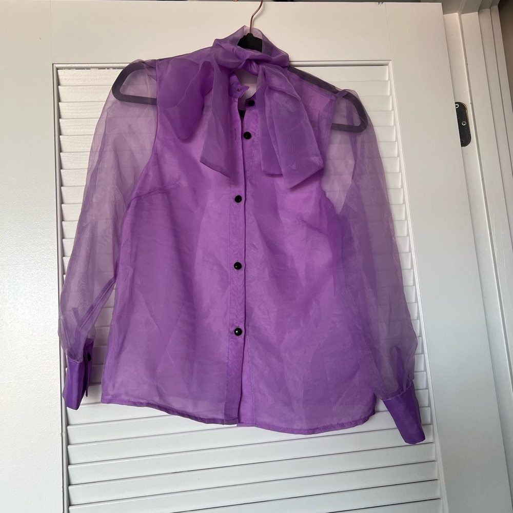 Elegant Purple Sheer Blouse
